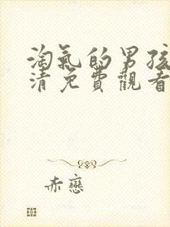 淘气的男孩们高清免费观看封面