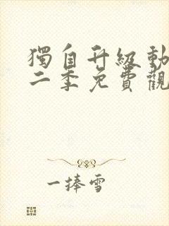 独自升级动漫第二季免费观看