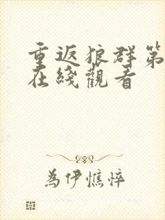 重返狼群第四集在线观看