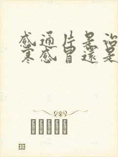 感通片是治疗风寒感冒还是风热感冒