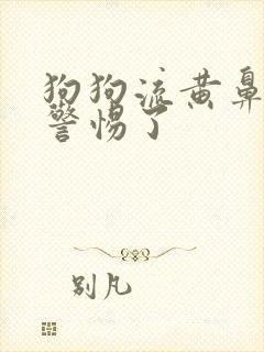 狗狗流黄鼻涕要警惕了