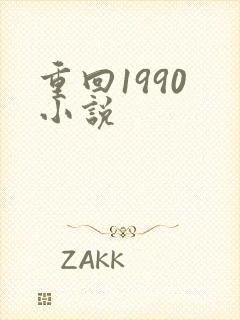 重回1990 小说