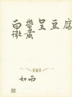 白带呈豆腐渣状微黄