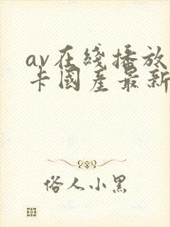 av在线播放不卡国产最新