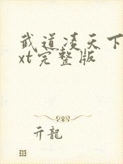 武道凌天下载txt完整版