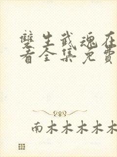 双生武魂在线观看全集免费播放