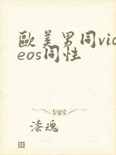 欧美男同videos同性