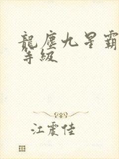 龙尘九星霸体诀等级