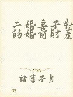 二婚妻子对丈夫的婚前财产有继承权不