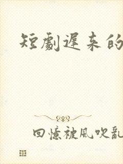 短剧迟来的深情