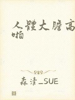 人体大胆高清啪啪