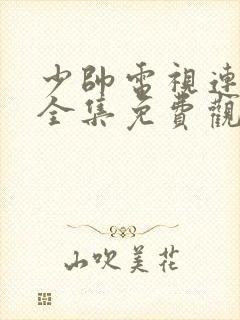 少帅电视连续剧全集免费观看