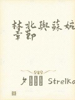 林北与苏婉最新章节