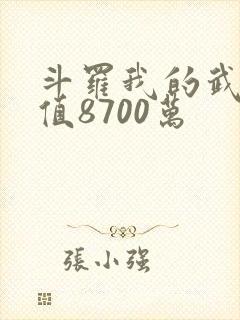 斗罗我的武魂价值8700万