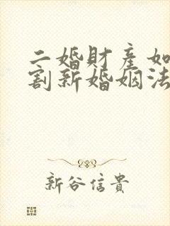 二婚财产如何分割新婚姻法