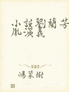 小说刘兰芳赵匡胤演义