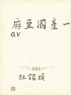 麻豆国产一级片av