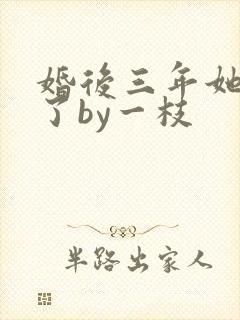 婚后三年她变心了by一枝封面