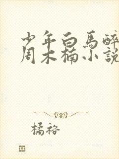 少年白马醉春风周木楠小说