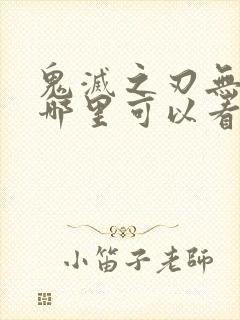 鬼灭之刃无限城哪里可以看