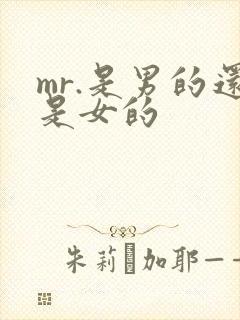 mr.是男的还是女的