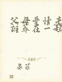 父母爱情老丁和谁葬在一起