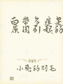 白带多痒是什么原因引起的