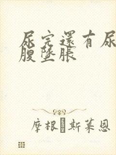 尿完还有尿意小腹坠胀封面