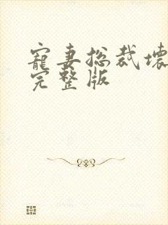 宠妻总裁坏透了完整版