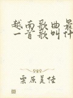 越南歌曲最火的一首歌叫什么