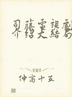 司藤电视剧剧情介绍大结局