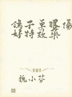 鸽子单眼伤风最好特效药