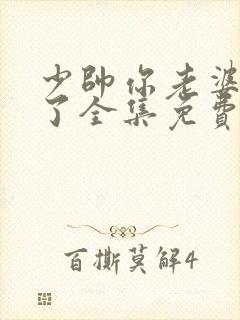 少帅你老婆又跑了全集免费下载封面