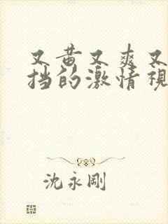 又黄又爽又无遮挡的激情视频