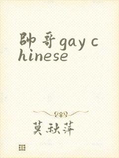 帅哥gay chinese