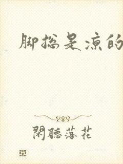 脚总是凉的封面