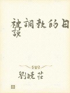 被调教的日常小说