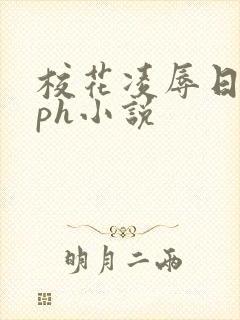 校花凌辱日记nph小说封面