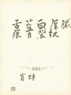 舌苔白厚腻有齿痕有裂纹