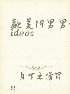 欧美19男男videos