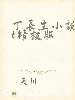 丁长生小说txt精校版
