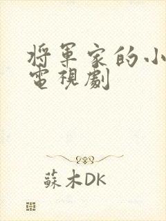 将军家的小娘子电视剧封面