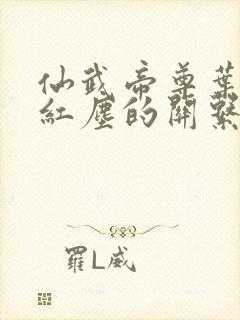 仙武帝尊叶辰和红尘的关系