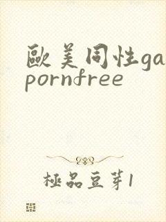 欧美同性gaypornfree