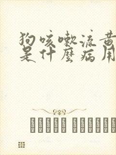 狗咳嗽流黄鼻涕是什么病用什么药