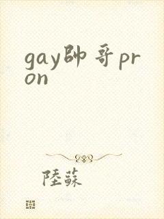 gay帅哥pron