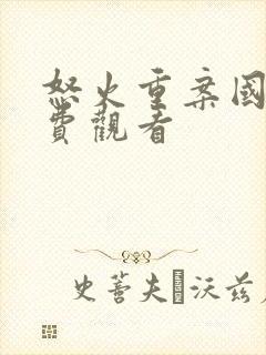 怒火重案国语免费观看