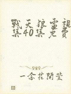 战天狼电视剧全集40集免费观看