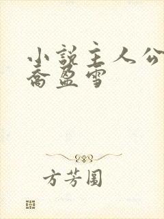 小说主人公沈荡乔盈雪