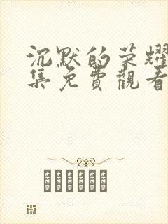 沉默的荣耀33集免费观看